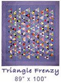 Triangle Frenzy quilt